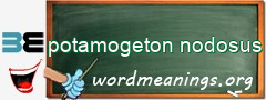 WordMeaning blackboard for potamogeton nodosus